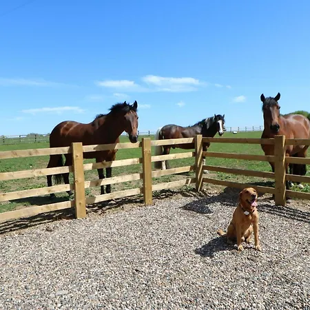 Holiday home The Sycamores