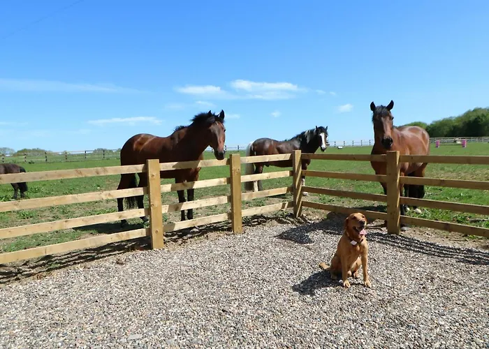 Hébergement de vacances The Sycamores