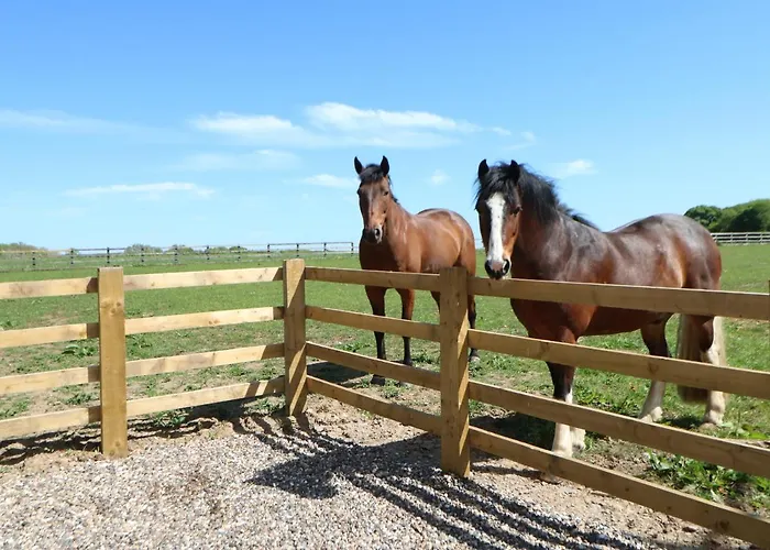 Hébergement de vacances The Sycamores Richmond (North Yorkshire)